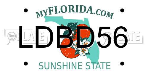 LDBD56 Florida License Plate