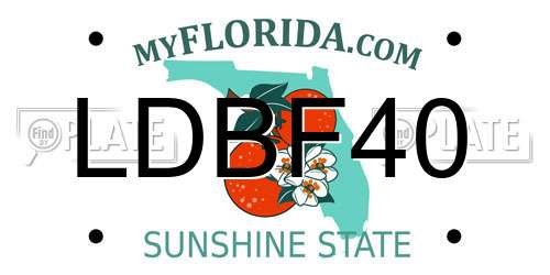 LDBF40 Florida License Plate