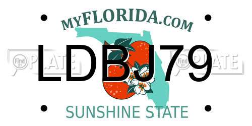 LDBJ79 Florida License Plate