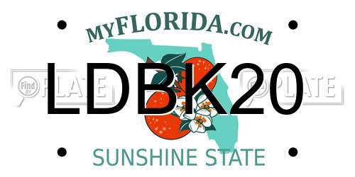 LDBK20 Florida License Plate