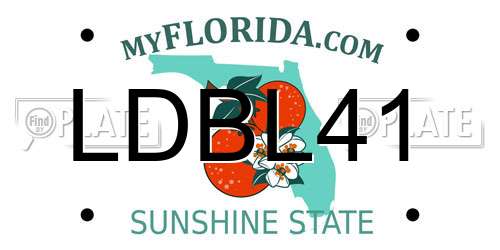 LDBL41 Florida License Plate