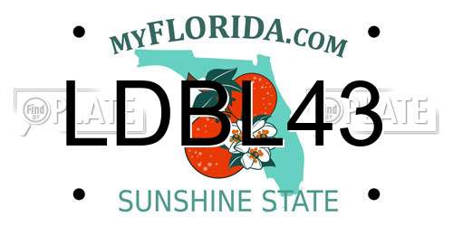LDBL43 Florida License Plate