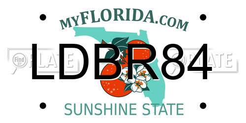 LDBR84 Florida License Plate