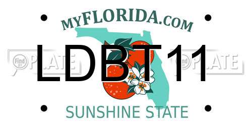 LDBT11 Florida License Plate