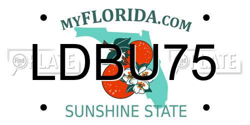 LDBU75 Florida License Plate
