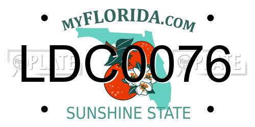 LDC0076 Florida License Plate