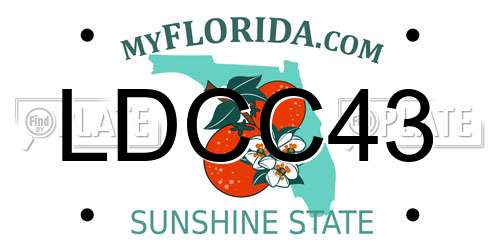 LDCC43 Florida License Plate