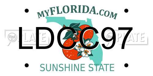 LDCC97 Florida License Plate