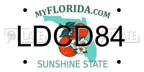 LDCD84 Florida License Plate
