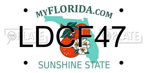 LDCF47 Florida License Plate