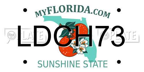 LDCH73 Florida License Plate