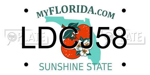 LDCJ58 Florida License Plate
