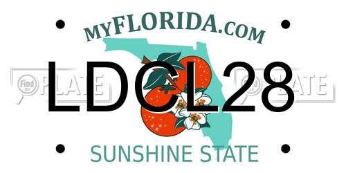 LDCL28 Florida License Plate