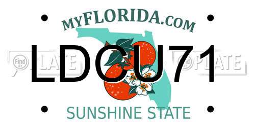 LDCU71 Florida License Plate