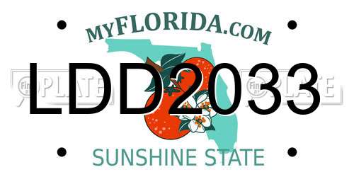 LDD2033 Florida License Plate