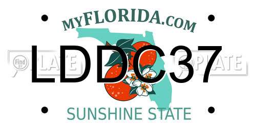LDDC37 Florida License Plate