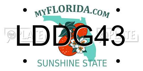 LDDG43 Florida License Plate