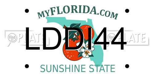 LDDI44 Florida License Plate