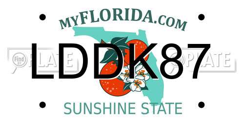 LDDK87 Florida License Plate