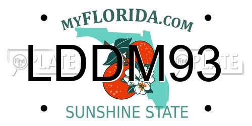 LDDM93 Florida License Plate