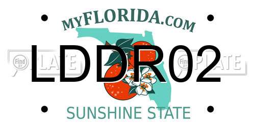 LDDR02 Florida License Plate