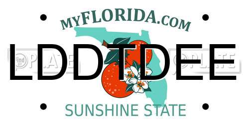 LDDTDEE Florida License Plate