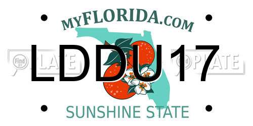 LDDU17 Florida License Plate