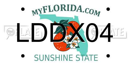 LDDX04 Florida License Plate
