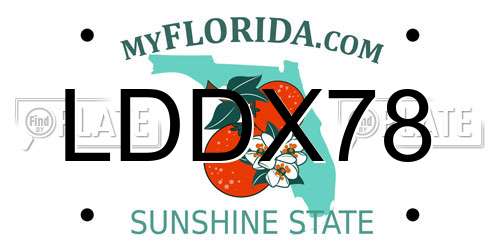 LDDX78 Florida License Plate