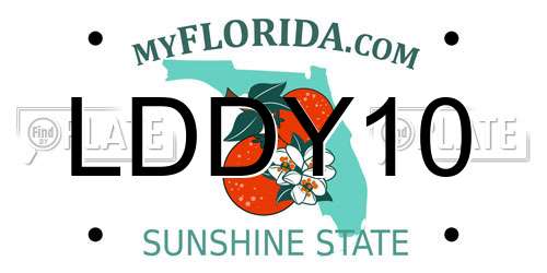 LDDY10 Florida License Plate