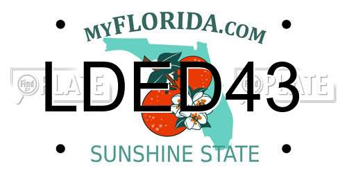 LDED43 Florida License Plate