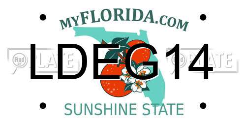 LDEG14 Florida License Plate