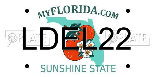 LDEL22 Florida License Plate