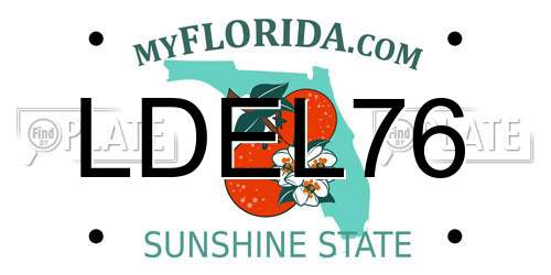 LDEL76 Florida License Plate