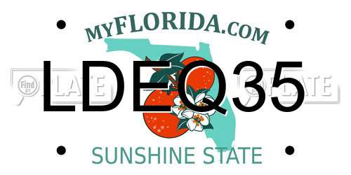 LDEQ35 Florida License Plate