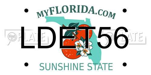 LDET56 Florida License Plate