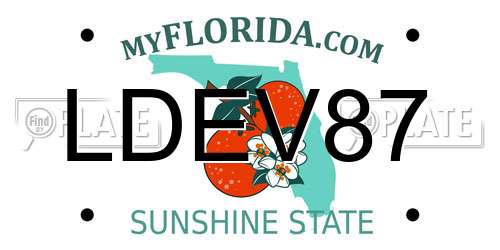 LDEV87 Florida License Plate