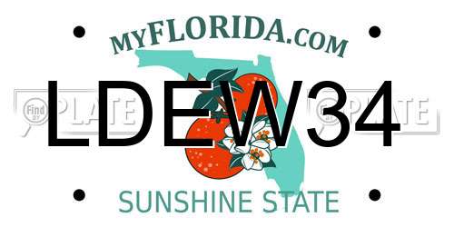 LDEW34 Florida License Plate