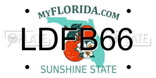 LDFB66 Florida License Plate