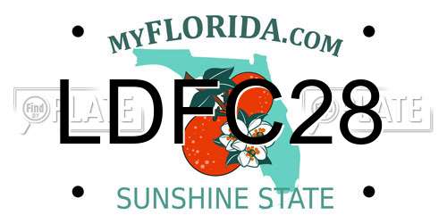 LDFC28 Florida License Plate