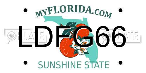 LDFG66 Florida License Plate