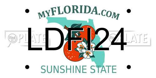 LDFI24 Florida License Plate