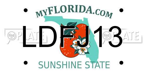 LDFJ13 Florida License Plate