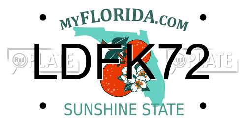 LDFK72 Florida License Plate