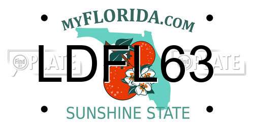 LDFL63 Florida License Plate