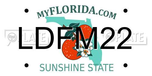 LDFM22 Florida License Plate