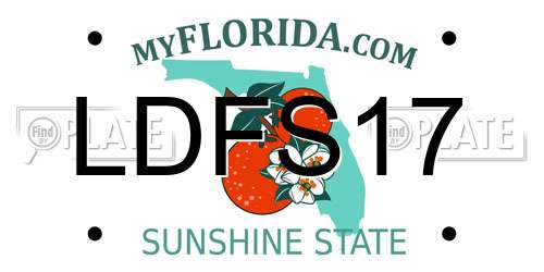 LDFS17 Florida License Plate