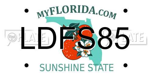 LDFS85 Florida License Plate