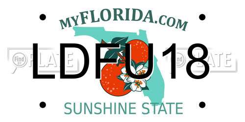 LDFU18 Florida License Plate
