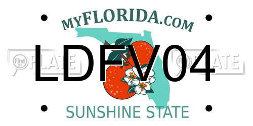 LDFV04 Florida License Plate